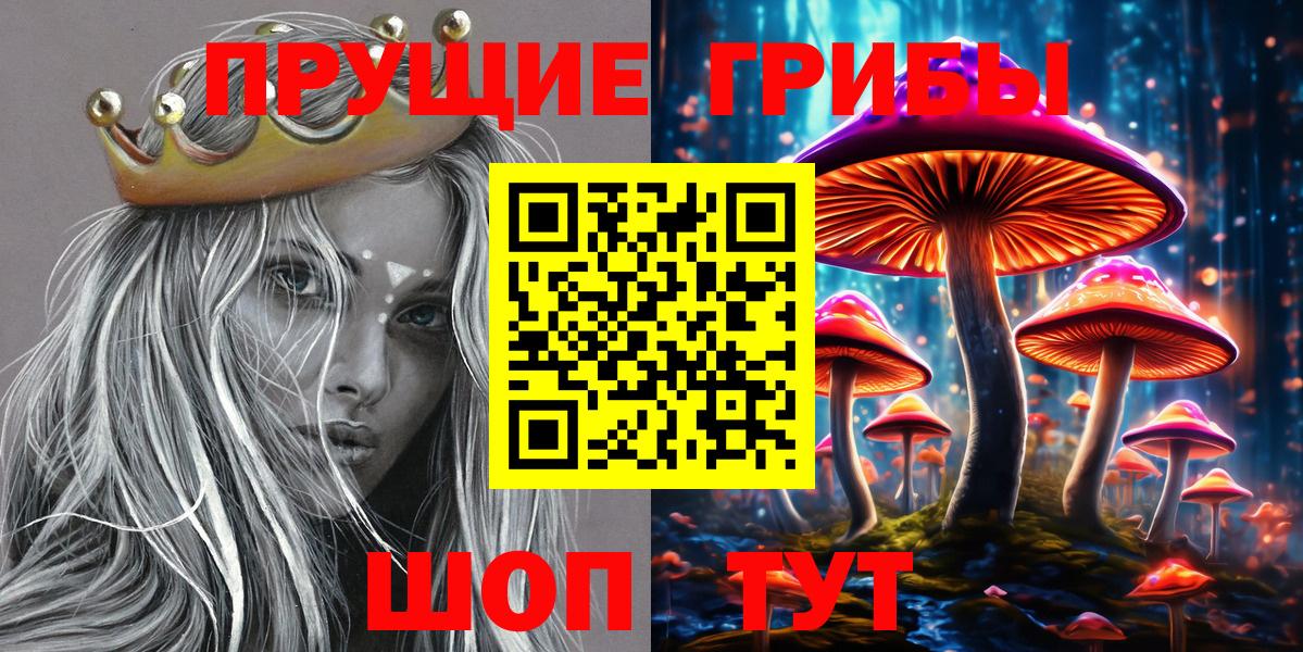 Галлюциногенные грибы Psilocybine cubensis Кашира