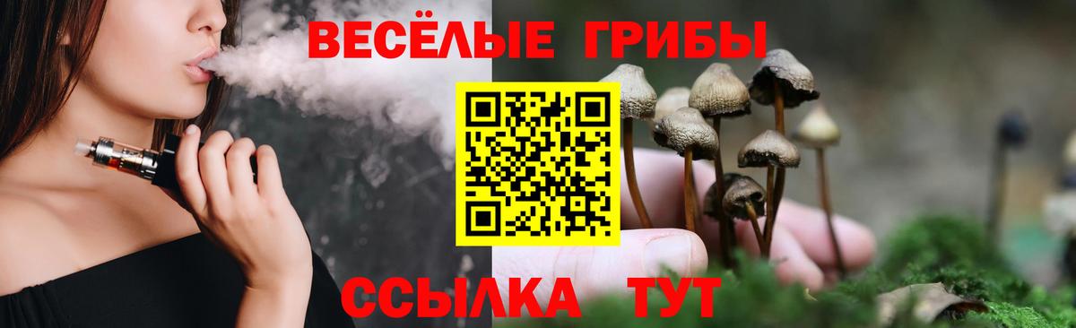 Псилоцибиновые грибы Psilocybe  Вход с VPN  Кашира 